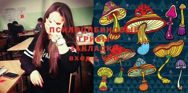 тгк Абдулино