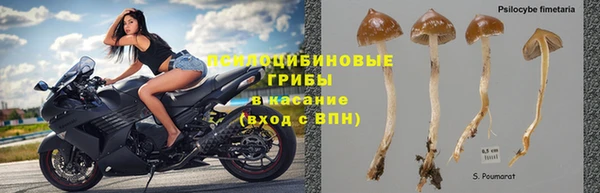 тгк Абдулино