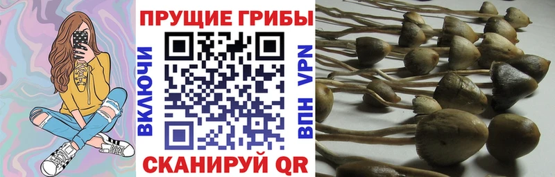 Галлюциногенные грибы MAGIC MUSHROOMS  Алейск 